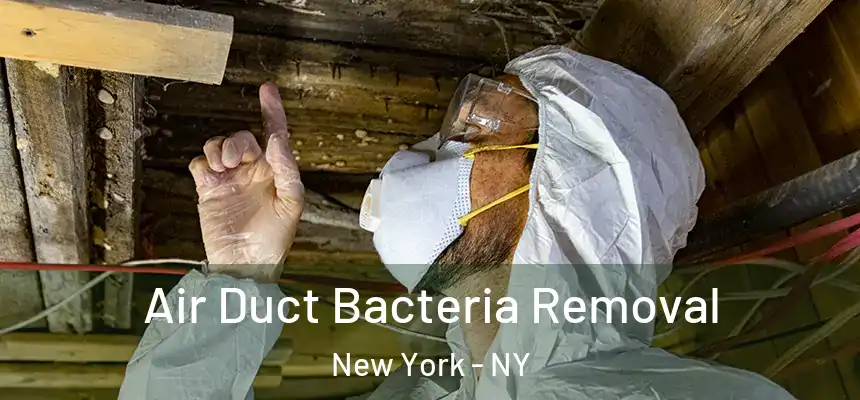 Air Duct Bacteria Removal New York - NY