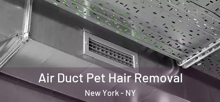 Air Duct Pet Hair Removal New York - NY