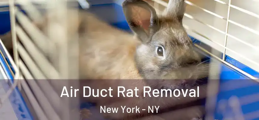 Air Duct Rat Removal New York - NY