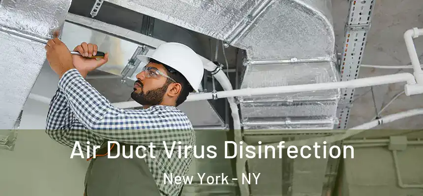 Air Duct Virus Disinfection New York - NY