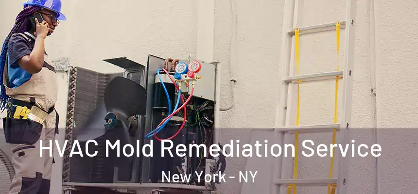  HVAC Mold Remediation Service New York - NY