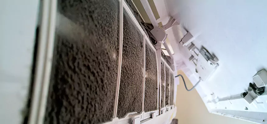 Preventive Air Duct Bacteria Removal in New York