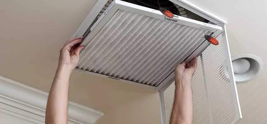 Our Insect Removal from Air Ducts Services in New York, NY