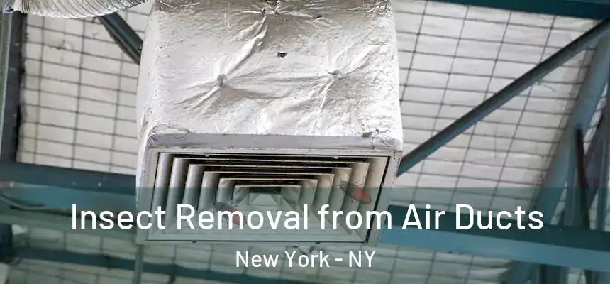 Insect Removal from Air Ducts New York - NY