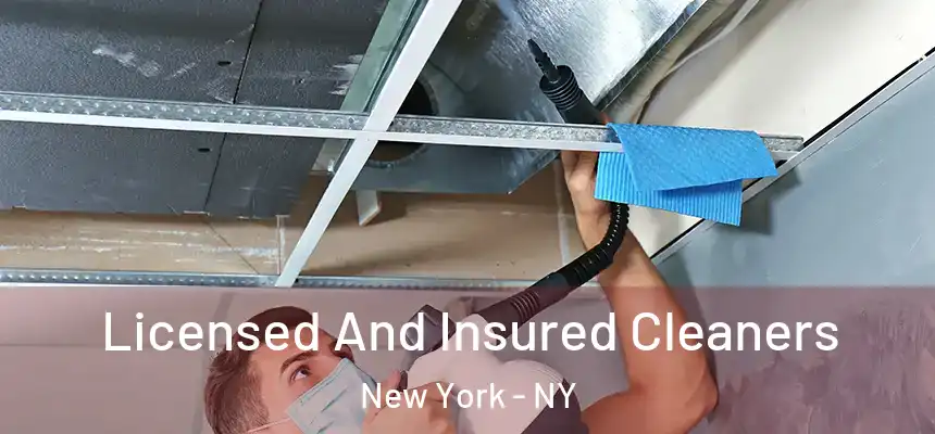 Licensed And Insured Cleaners New York - NY