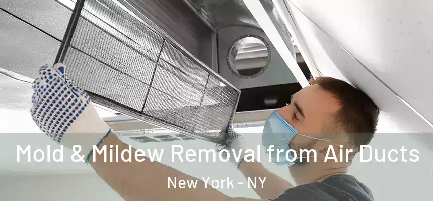 Mold & Mildew Removal from Air Ducts New York - NY