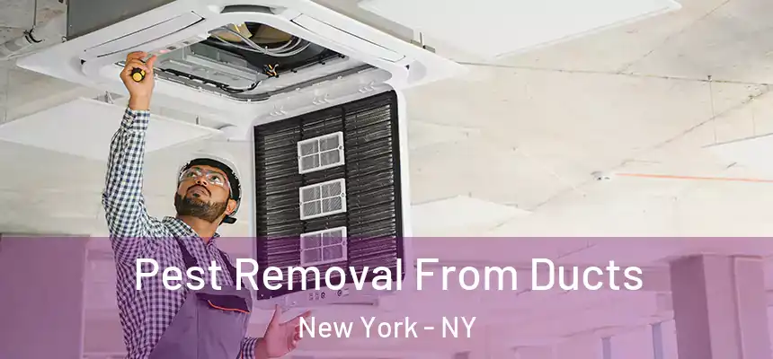 Pest Removal From Ducts New York - NY