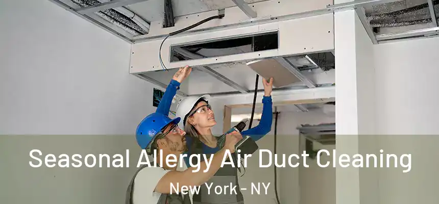  Seasonal Allergy Air Duct Cleaning New York - NY