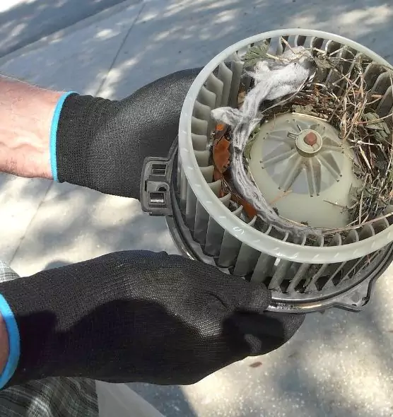 About Air Duct Mice Removal in New York, NY