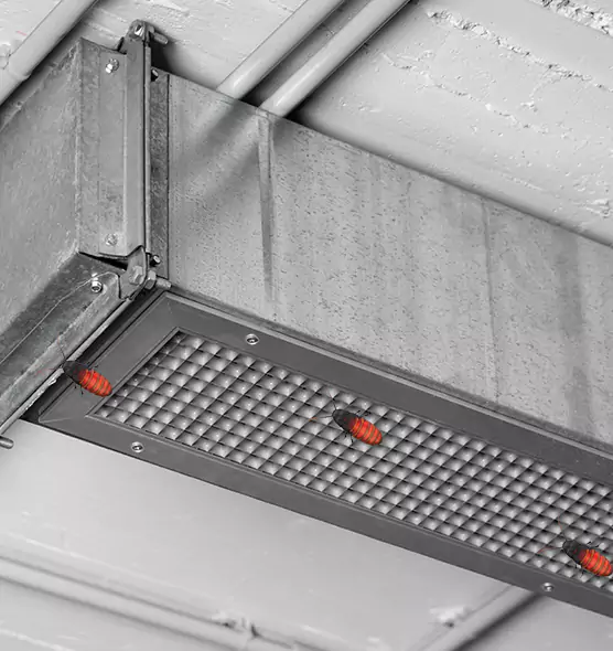 Affordable Insect Removal from Air Ducts in New York, NY