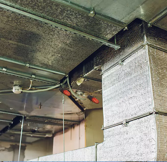 Why Homeowners & Businesses Trust Us in New York, NY?