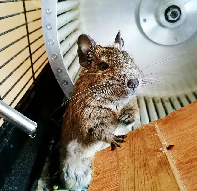 Why Homeowners & Businesses Trust Us New York, NY