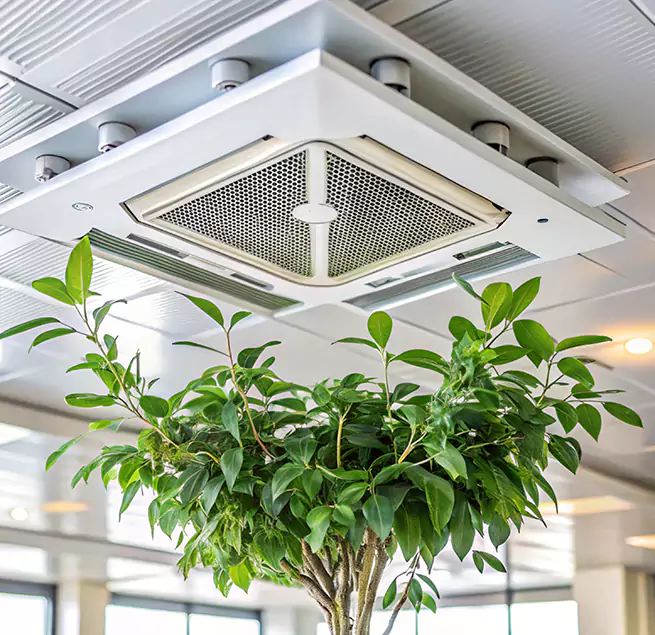 Why Homeowners & Businesses Trust Us in New York, NY