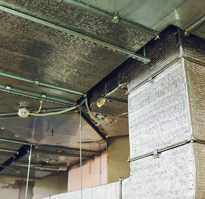 Why Homeowners & Businesses Trust Us in New York, NY?